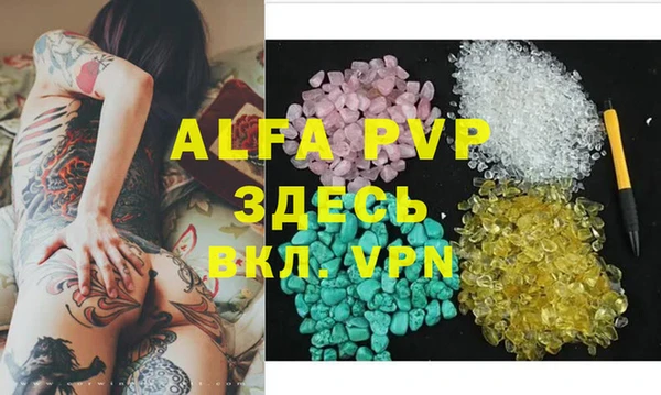 PSILOCYBIN Богородск