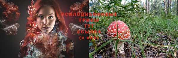 марки nbome Богородицк
