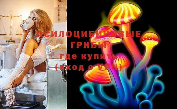 PSILOCYBIN Богородск