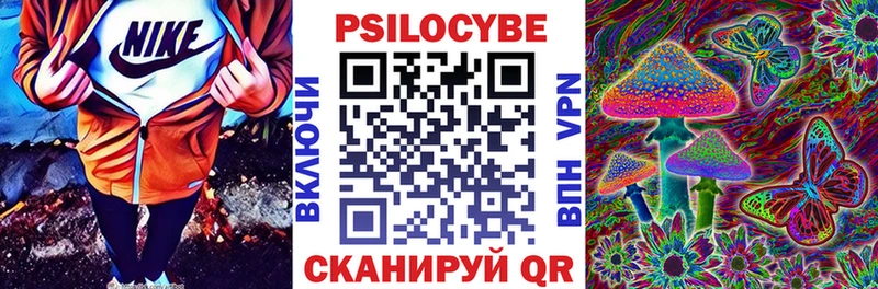 Галлюциногенные грибы прущие грибы  где найти наркотики  Новотроицк 