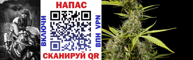 Бошки Шишки планчик  цены   Новотроицк 